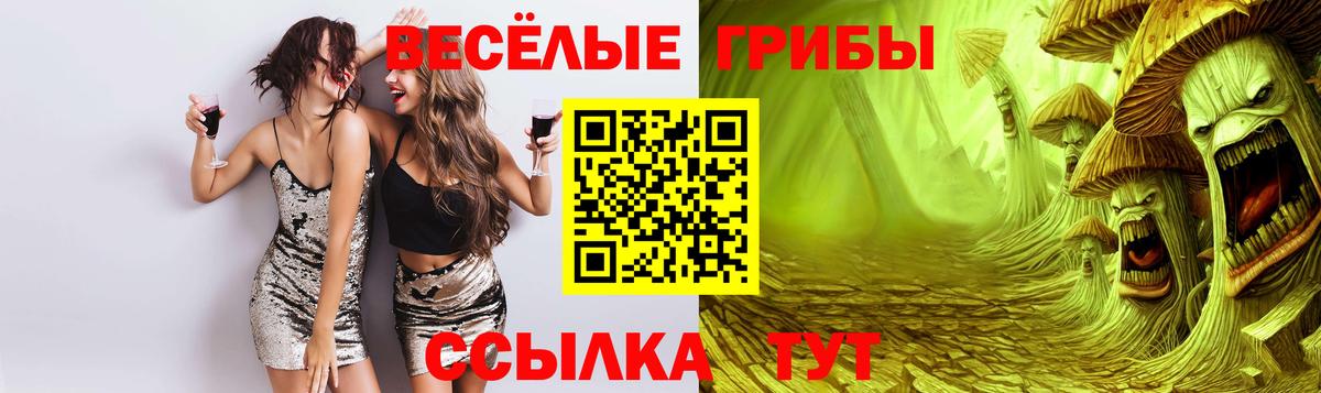 Симферополь  Псилоцибиновые грибы GOLDEN TEACHER  Вход с VPN 